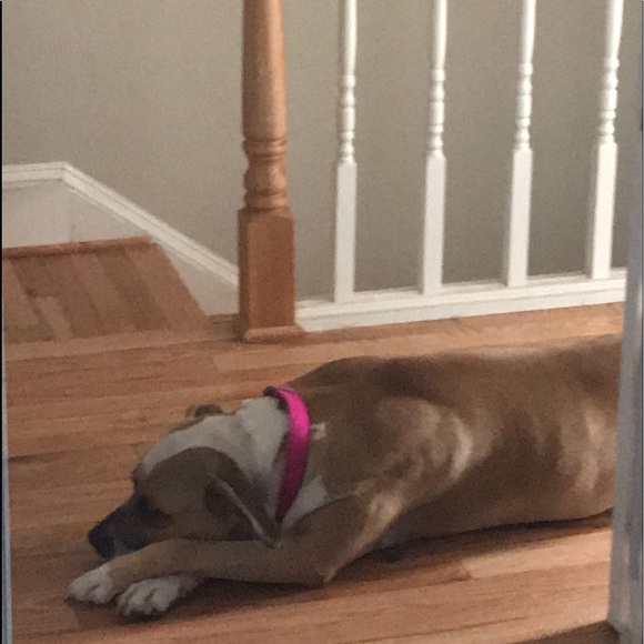 Meet your Posher, Karen - Picture 3 of 8